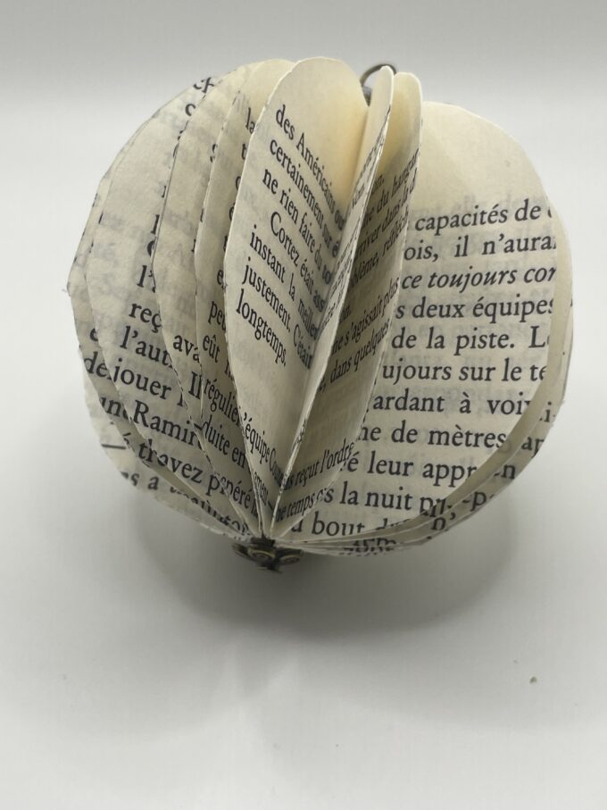 Boule à ailettes – Image 4