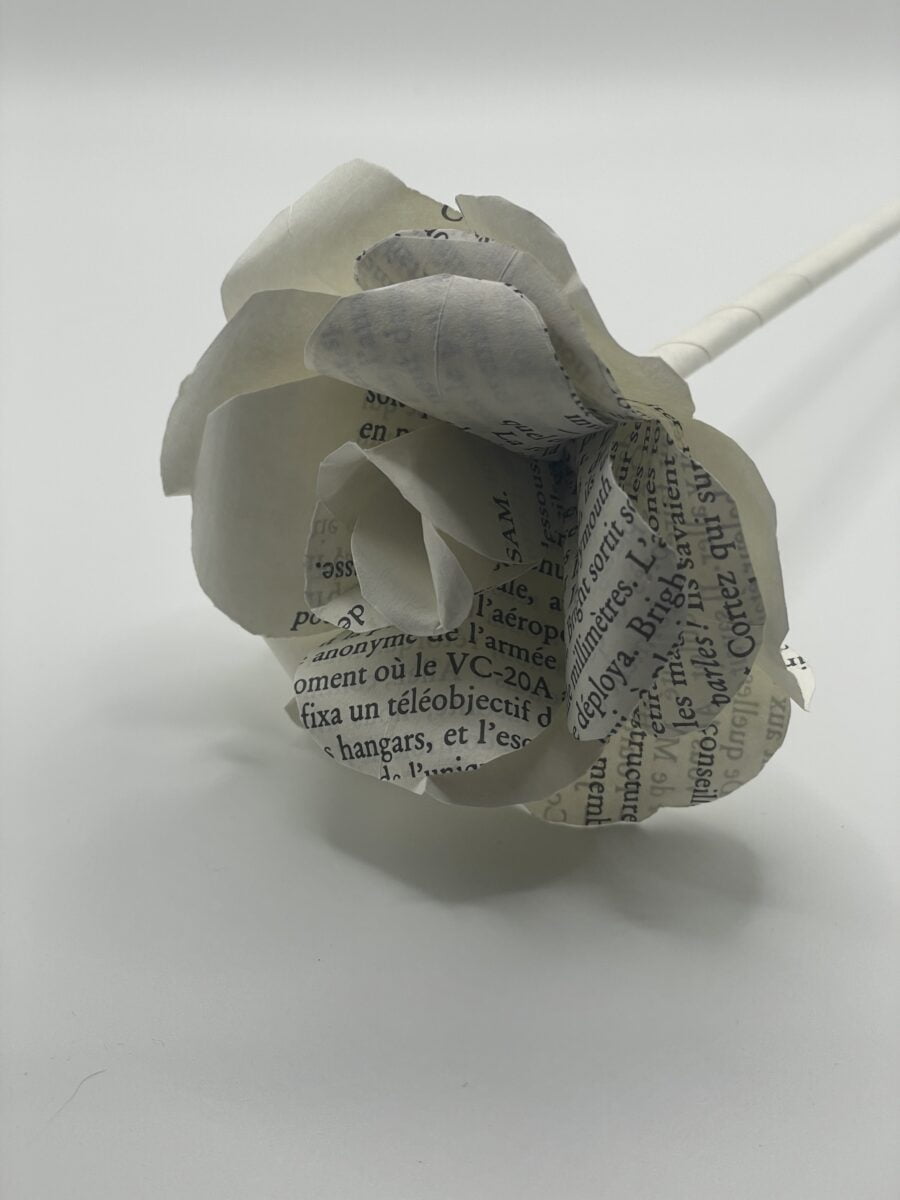 Fleur de Rose Ouverte en Origami